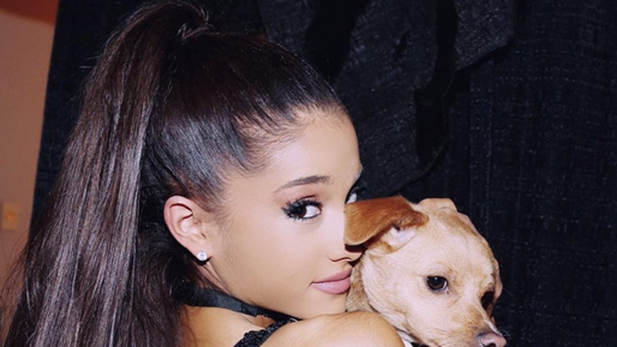 Ariana Grande gosar med sin hund. 